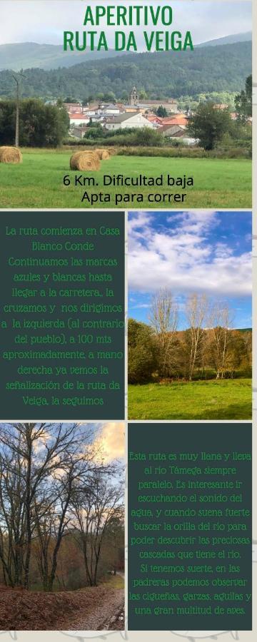 Апартаменты El Camino Ласа Экстерьер фото